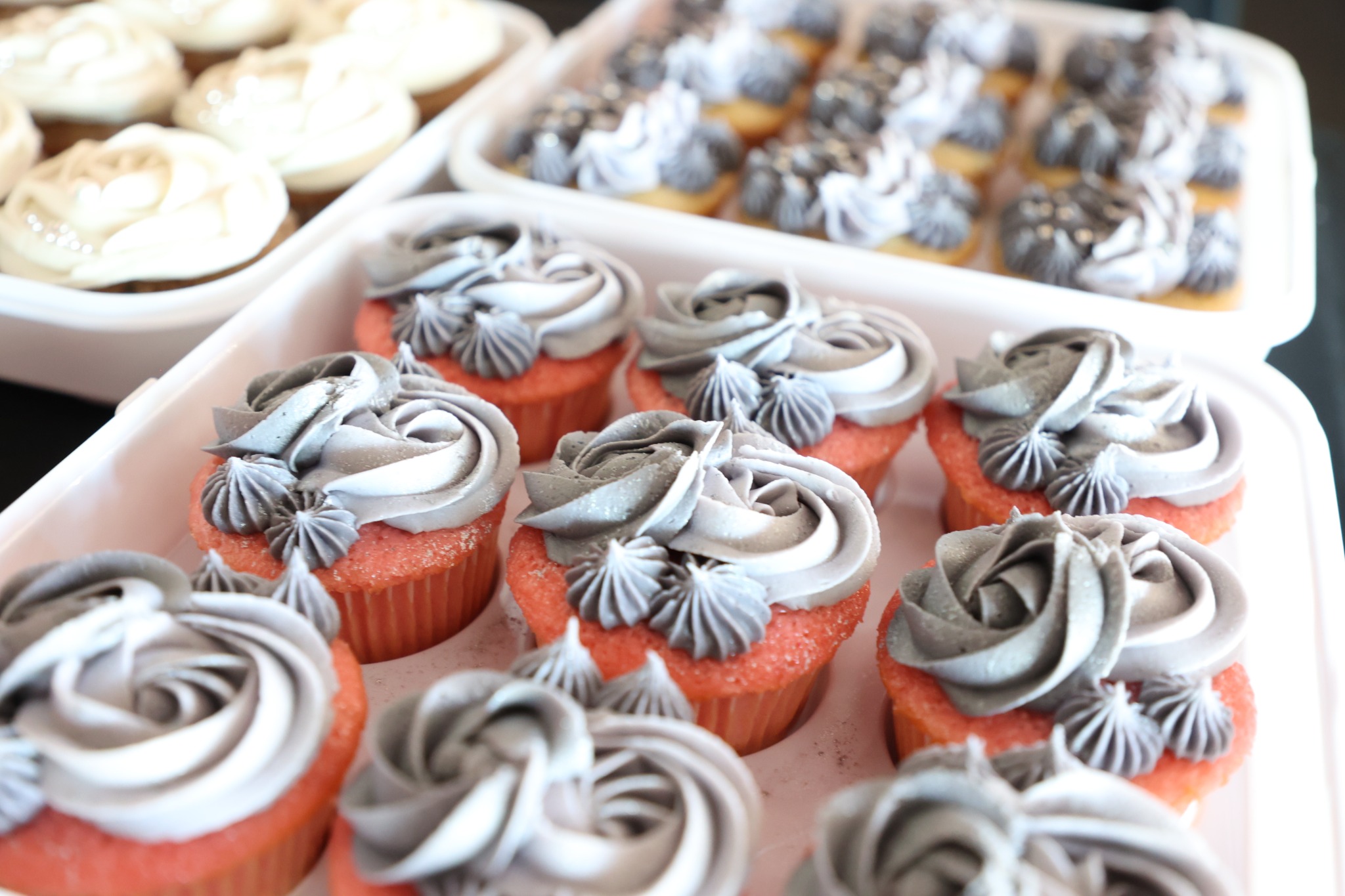 Assorted cupcakes with piped frosting